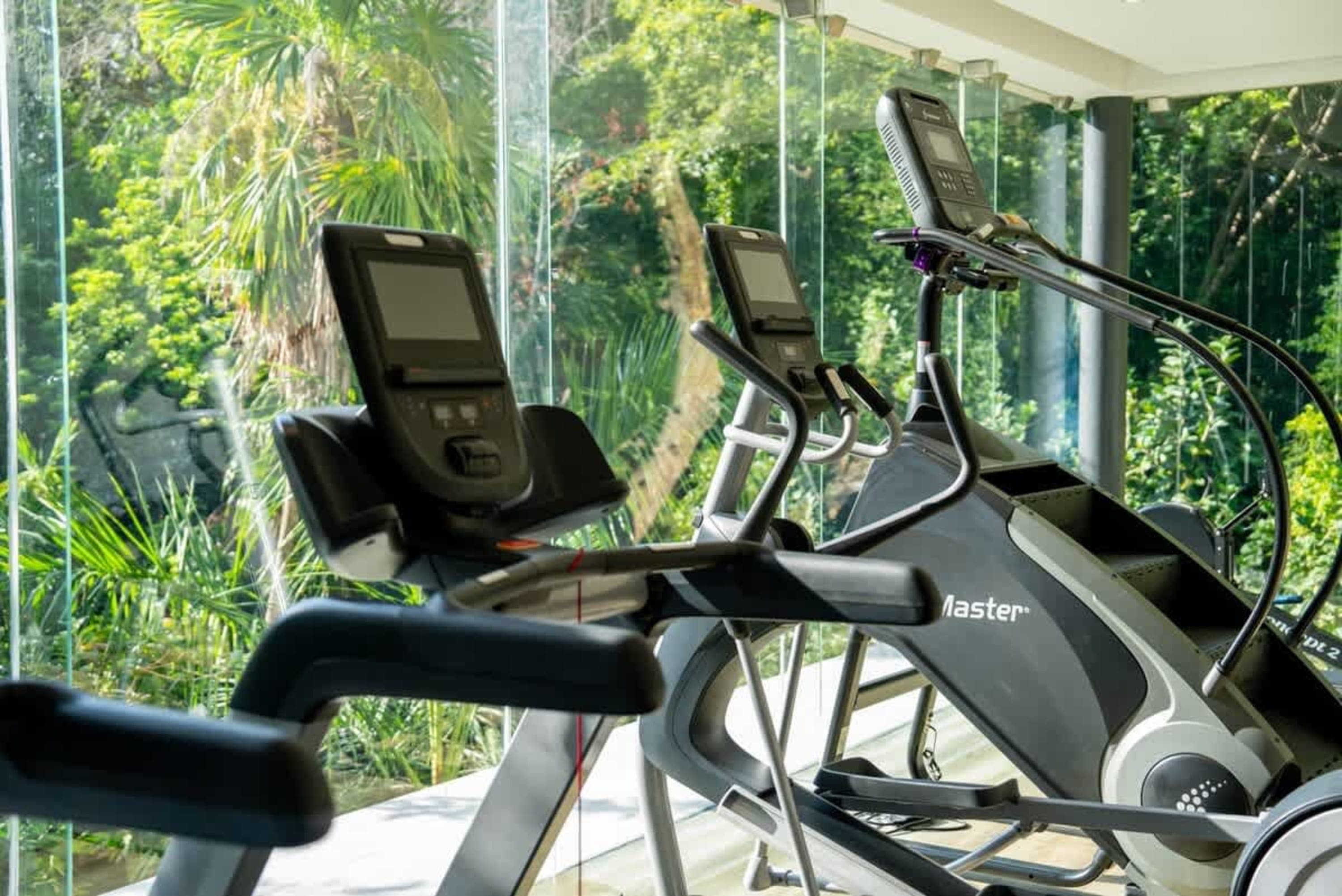 Gym equipment in front of large windows with lush green foliage outside.