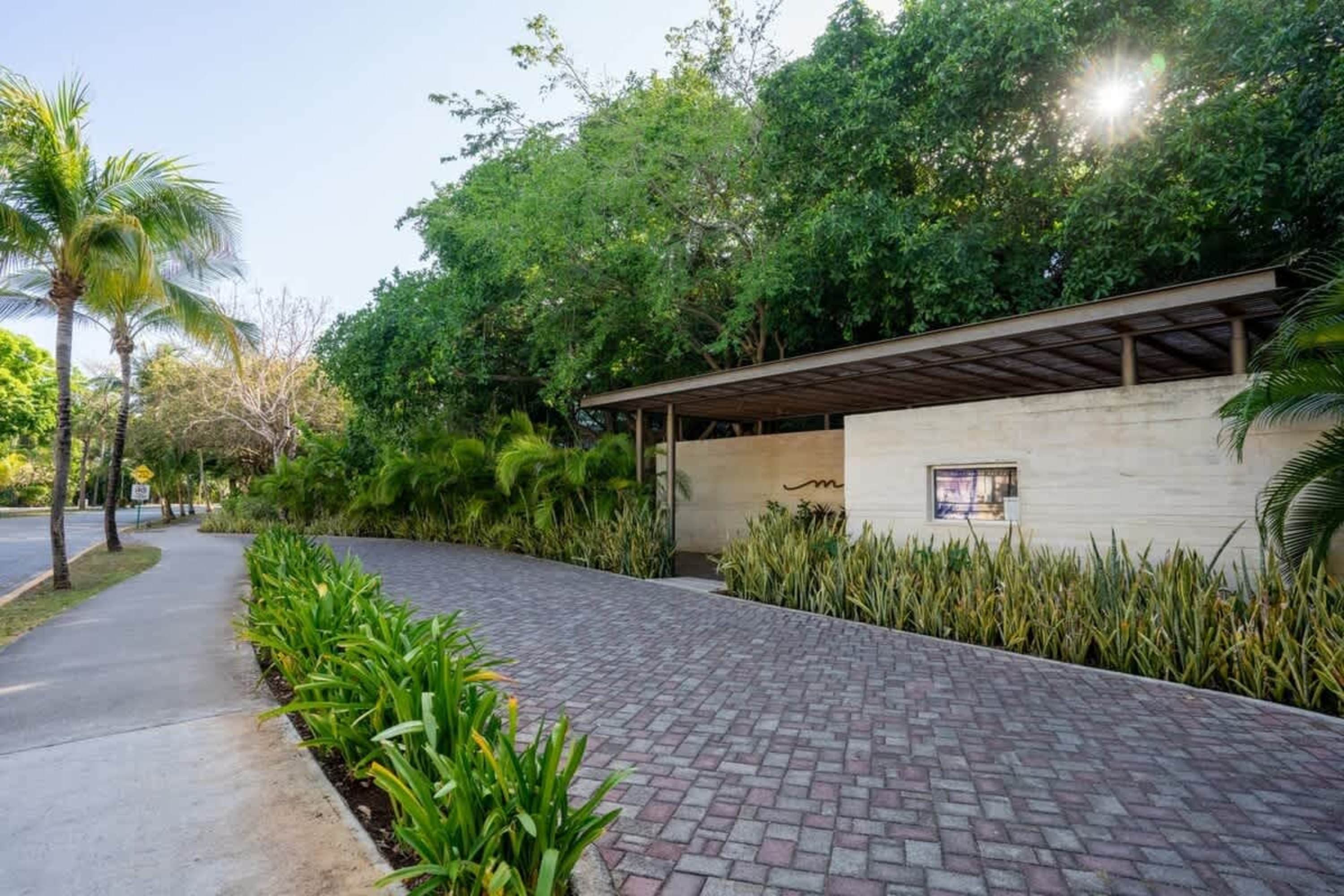 A paved driveway leads to a building with a thatched roof and palm trees.