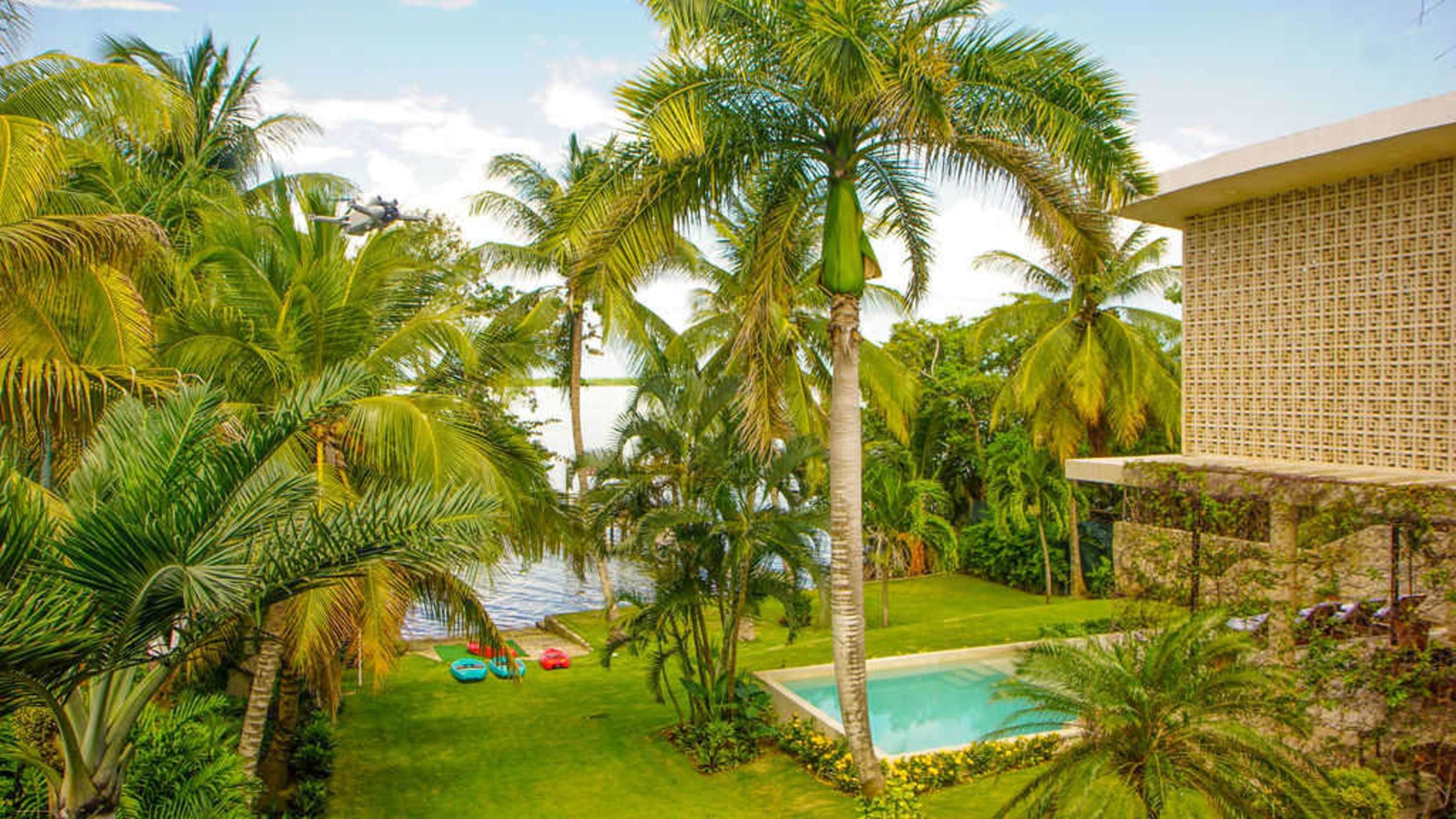 A backyard with a pool and palm trees.