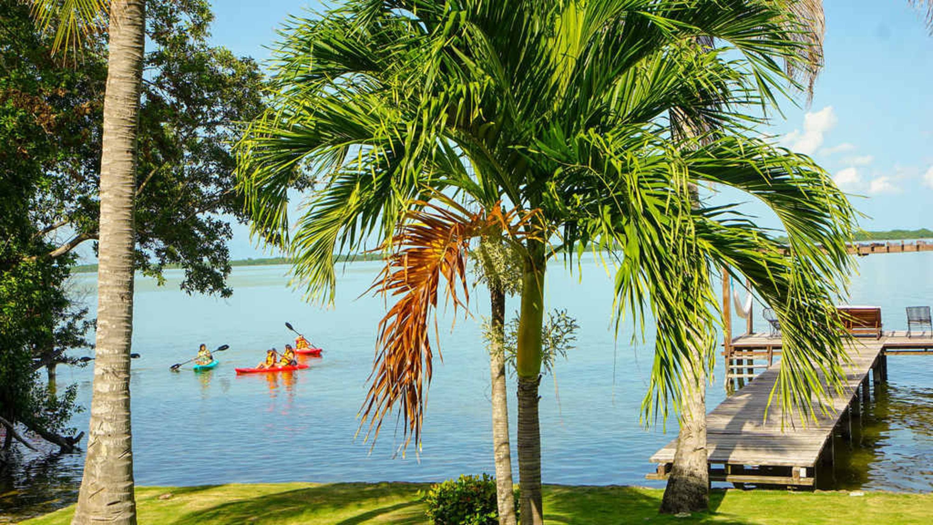 Palm trees frame a tropical scene with kayakers on the water and a wooden pier.
