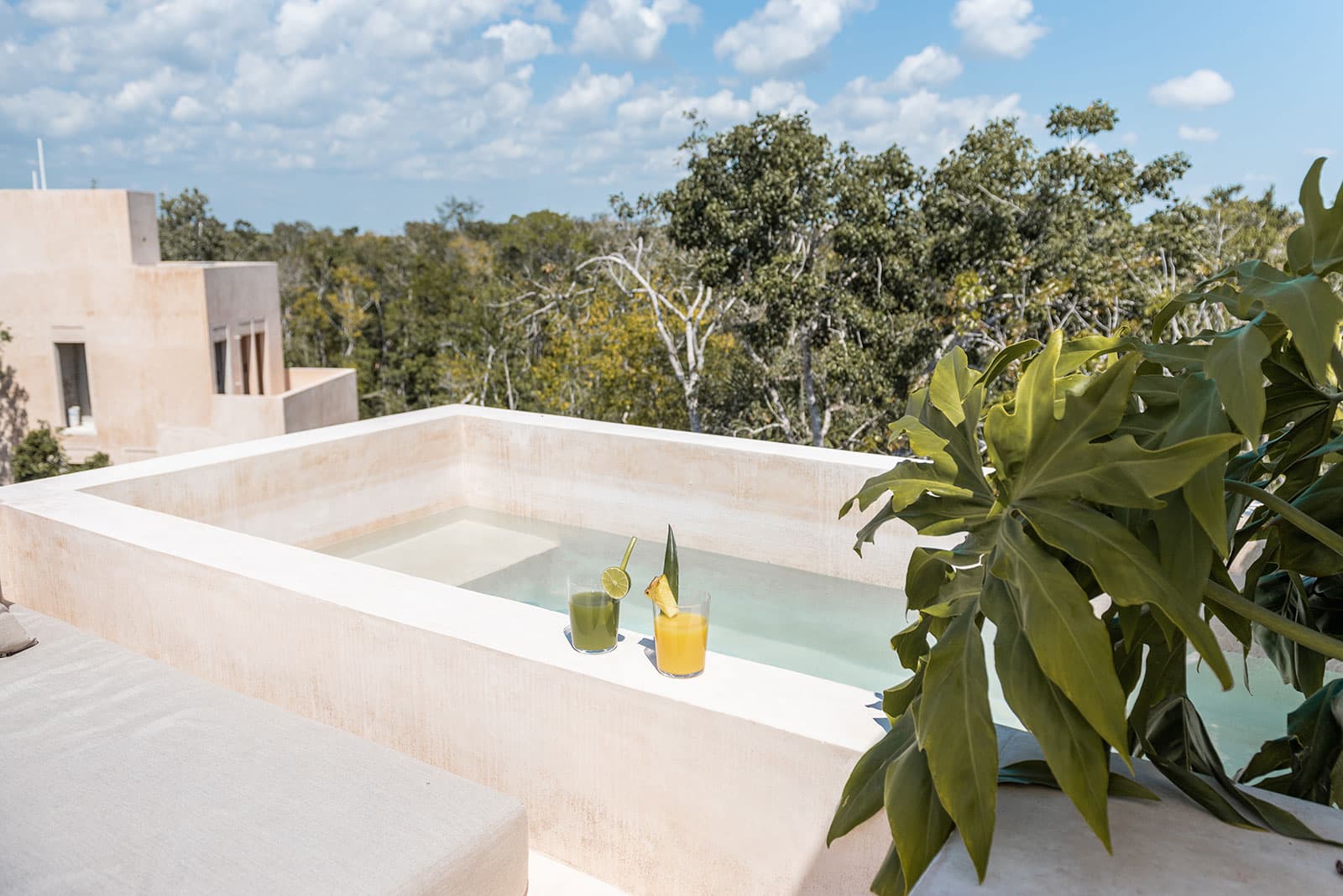 Brújula · Casa en la selva con alberca privada y spa en Tulum